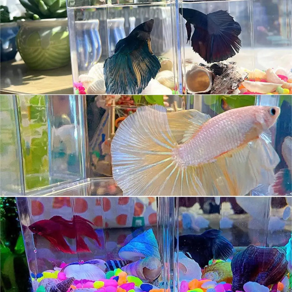 Transparent Fish Tank Double Grid Fish Separation Breeding Box Aquarium Breeder Box Breathable Fish Breeding Isolation Box